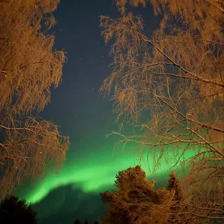 Ruska - Cozy In The Center Apartman Levi